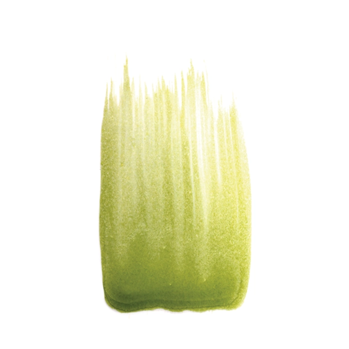 Cacaoboter Licht Groen 100% Natuurlijk
