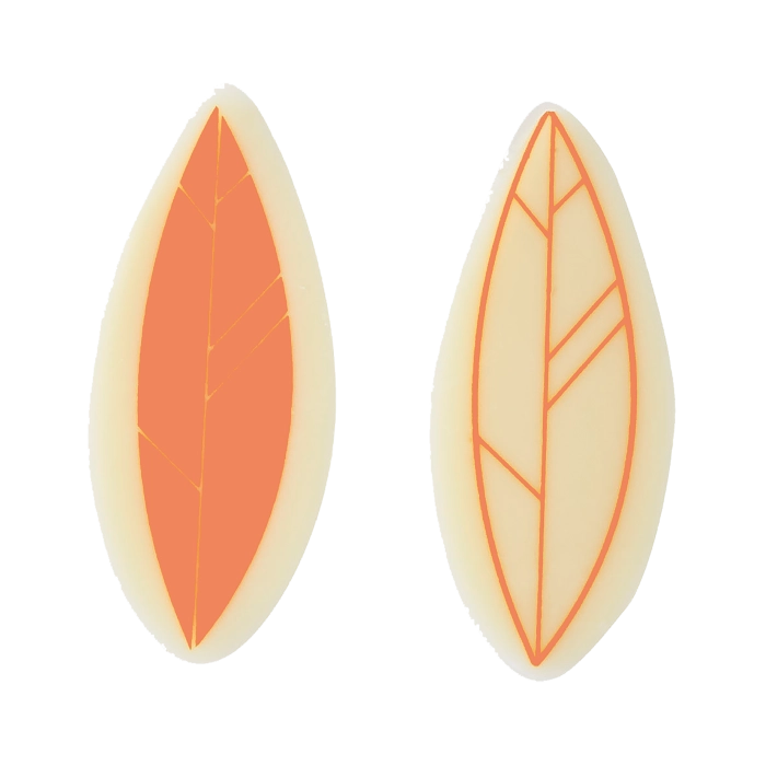 Blaadje Oranje 2 Modellen