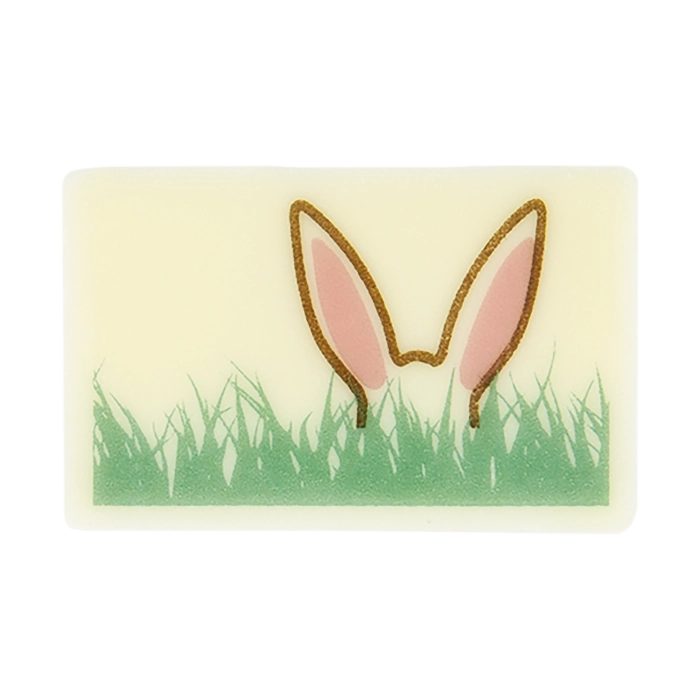 Rechthoekje Verborgen Konijn Pasen