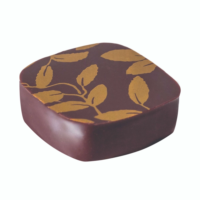 Ganache The Jasmin bonbon puur